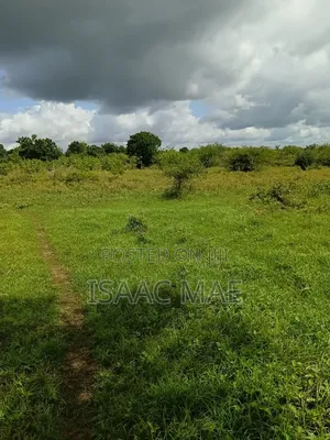 5 Acres for Sale at Malindi Sosobora Area 30km From Malind to the Land