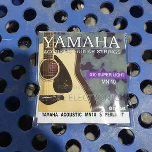 Professional Electric Acoustic Classic Guitar String 010