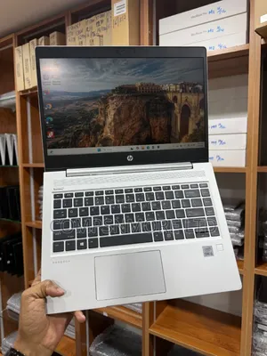 Handheld Laptop Bags