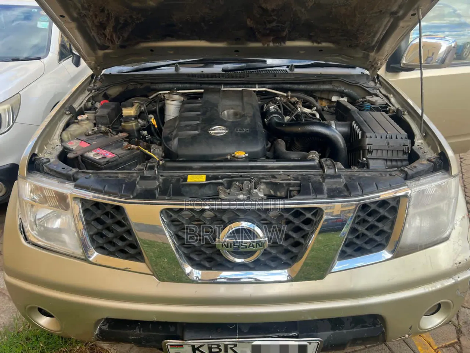 Nissan Navara 2011 Gold