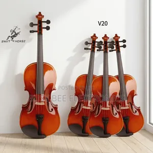 Musical Instruments Violin Kit Glossy Full Size