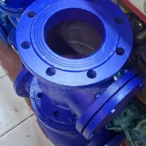 Carpe Diem 6inch Non Return Valve Dn18
