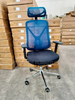 Executive Chair With Blue Back Frame