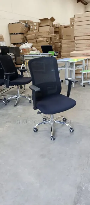 Office Executive Chair With Adjustable Hand