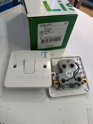Schneider Water Heater Switch 50a