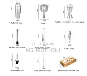 Premium 10 PCS Mixology Set