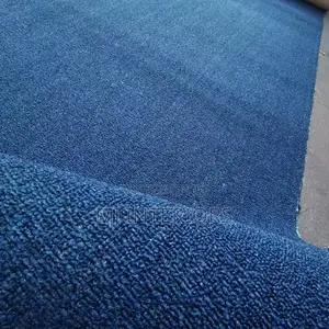 Beautiful Blue Delta Wall to Wall Carpet for Interior Makeovers