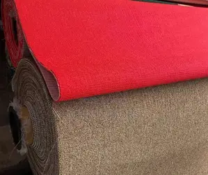 Luxury Wall to Wall Carpet for Interior Decoration