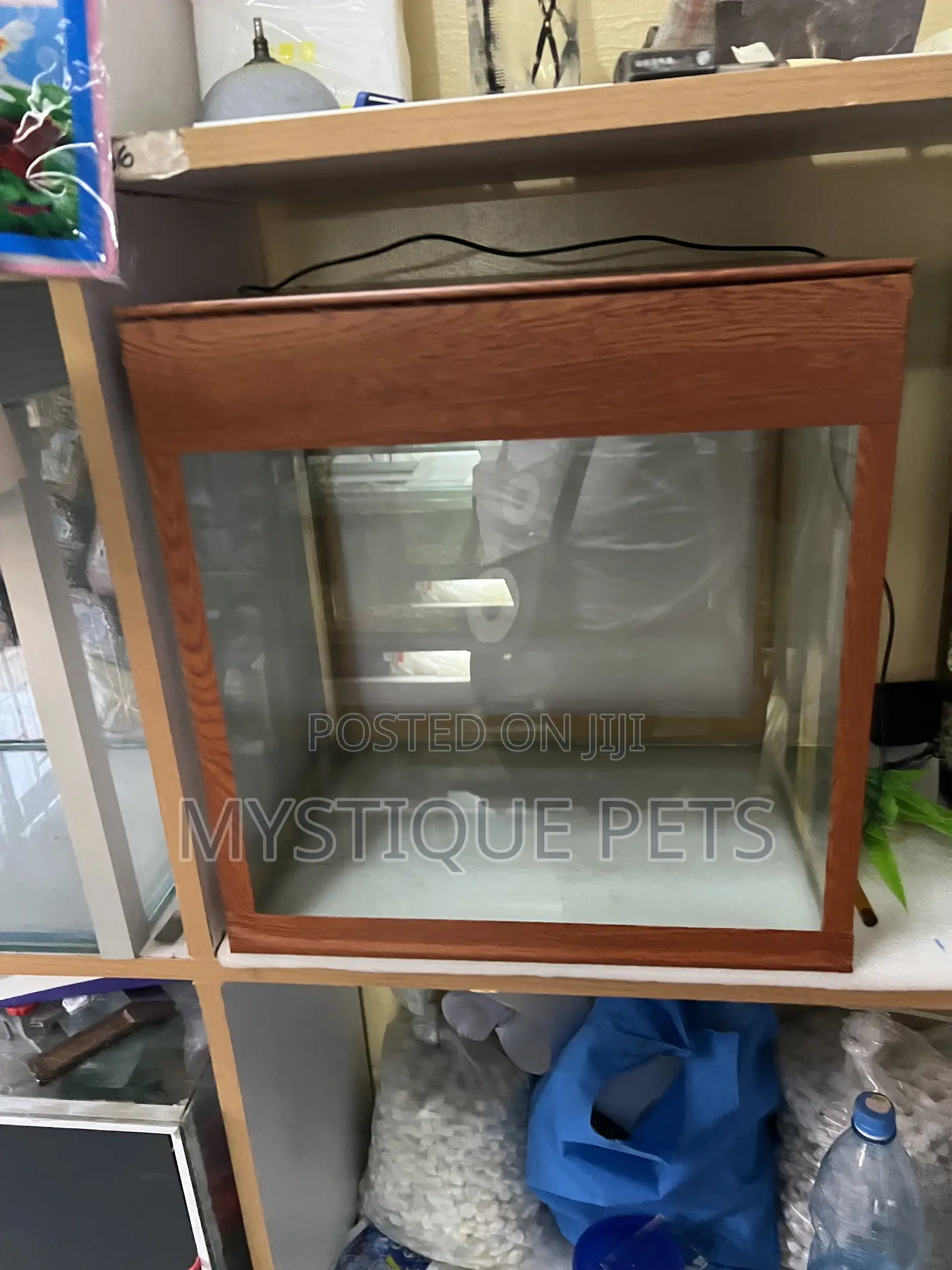 Small Aquarium
