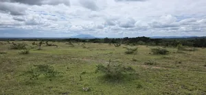 Prime Land for Sale – Lukenya, Muthwani Area