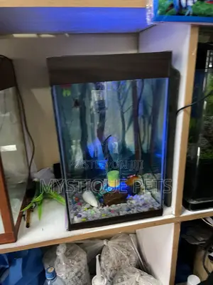 Small Tower Aquarium