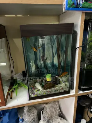 Small Tower Aquarium