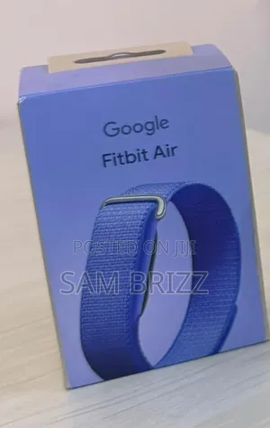 Google Fitbit Air