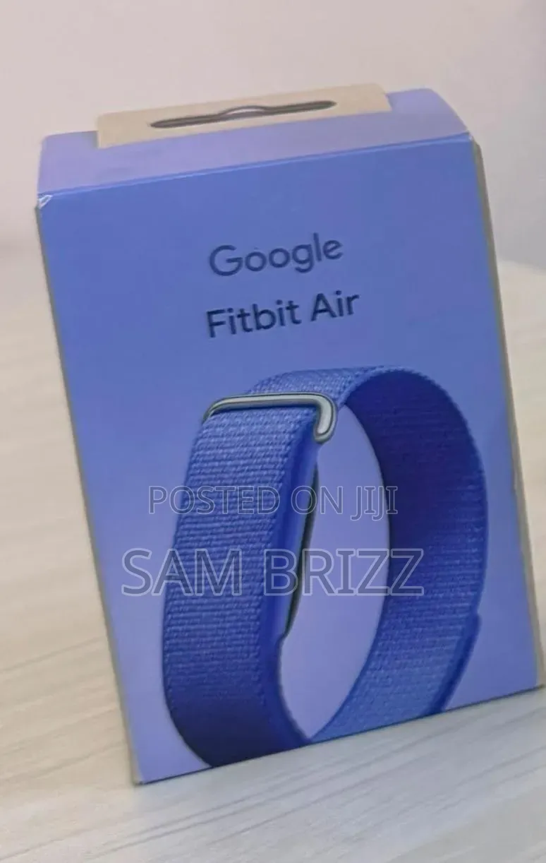 Google Fitbit Air
