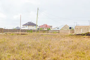 Prime Plots in Thika Salama