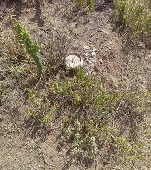For Sale: 1/4 Acre Plot - Gilgil