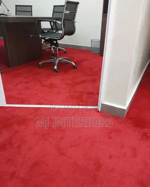 Thick Soft Wall to Wall Carpet for Family Living Areas