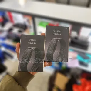 Google Fitbit Air