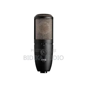 Akg P420 Multi-Pattern Condenser Microphone