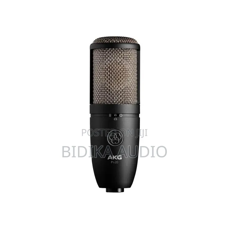 Akg P420 Multi-Pattern Condenser Microphone