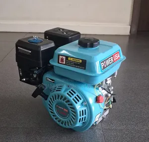 Power Usa 7.5hp Gasoline Engine Rope Start