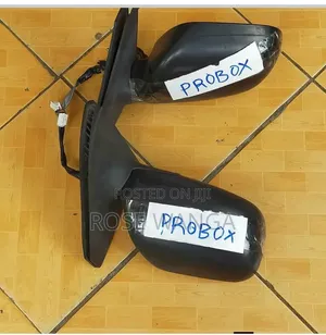 Probox Side Mirror