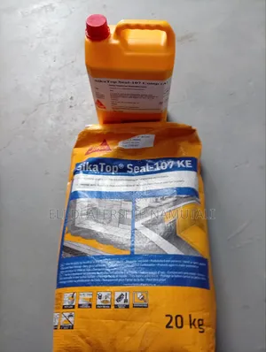 Top Seal-107ke 25kg Waterproofing Kit/Semi-Flexible Waterproof Coating