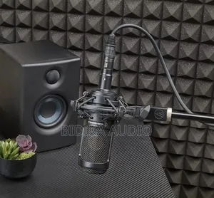 Audio Technica At2035 Microphone
