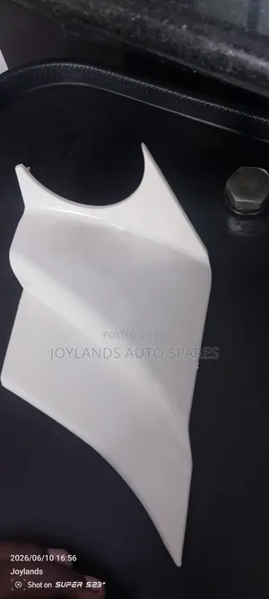 Isuzu Elf 700p Side Mirror Finisher