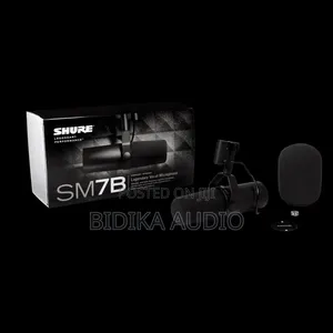 Shure Shure Sm7b Broadcast Microphone