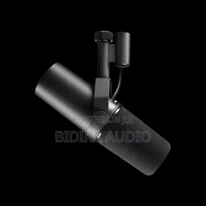 Shure Shure Sm7b Broadcast Microphone