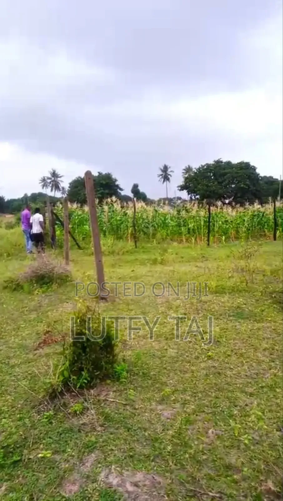 Land/Plot in Tezo for Quick Sale