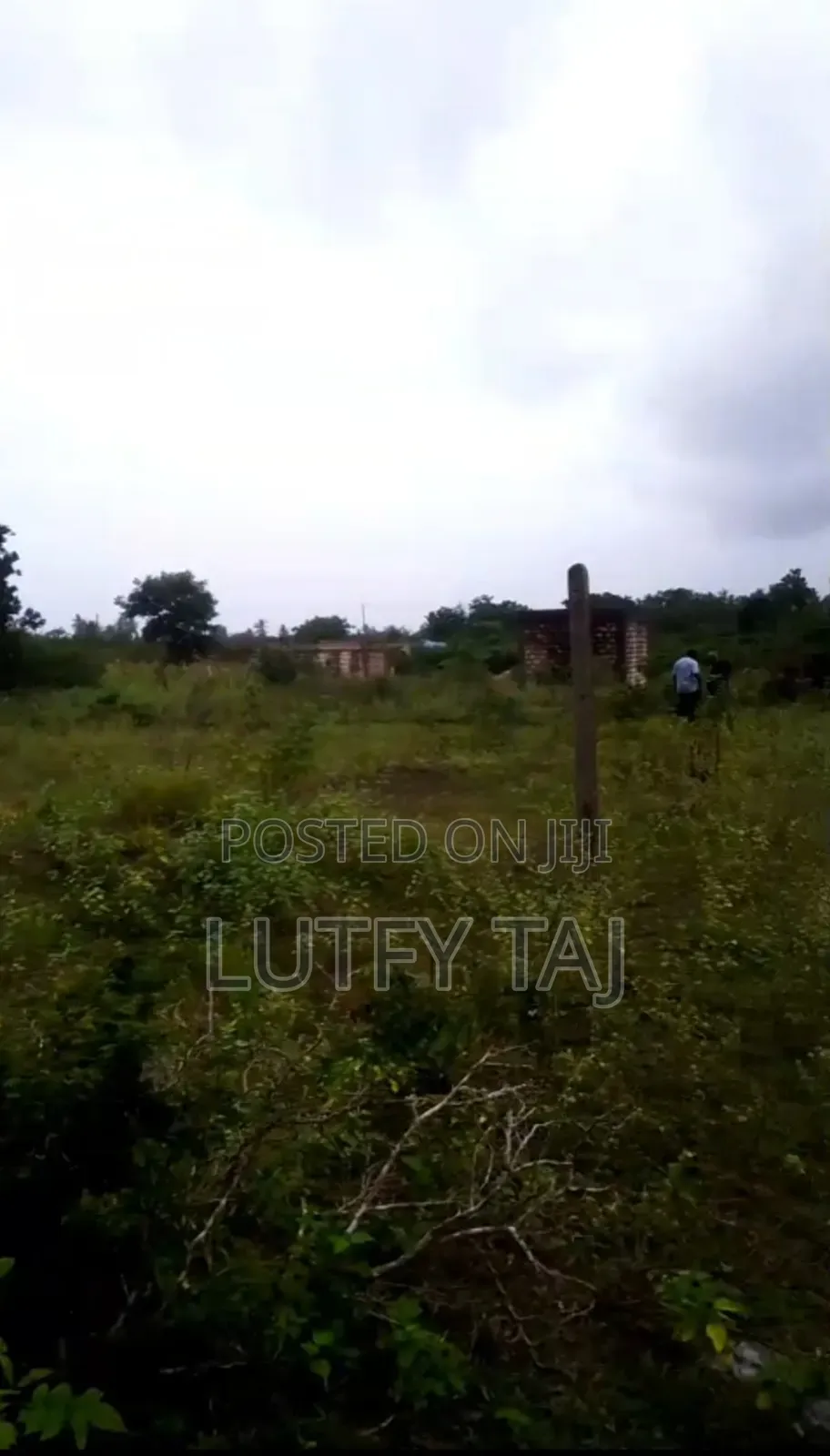 Land/Plot in Tezo for Quick Sale