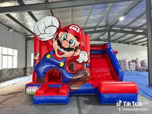 Bouncing Castles for Hire (All Cartoon Themes Available)