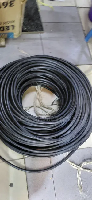 Armoured 2 Core 2.5 Mm