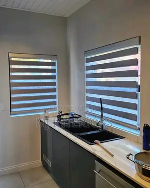 High End Zebra Blinds for Modern Window Decoration Solutions