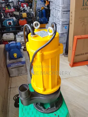 Most Reliable Sewage Pump 2inch / Commercial Electric Sewage Pump