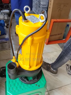 Heavy Duty 2"Submersible Sewage Pump/Freevel Submersible Electric Pump
