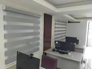 Modern Zebra Blinds for Privacy Light Control and Decoration
