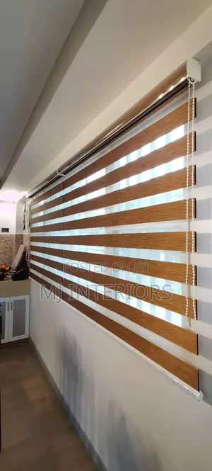 Affordable Day Night Zebra Blinds for Modern Window Styling