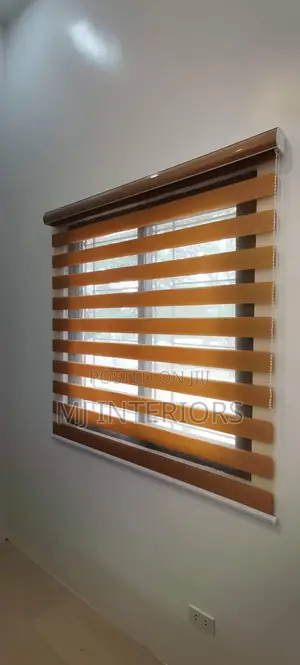 Modern Zebra Window Shades for Privacy and Light Control