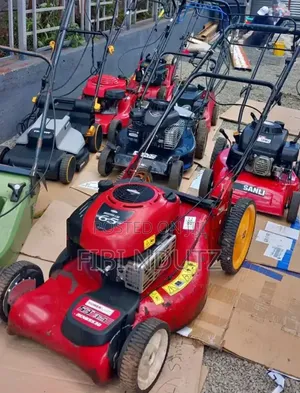 Self Propelled Lawn Mower Machine/Lawn Mower