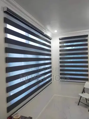 High Quality Zebra Blinds for Professional Office Appearance