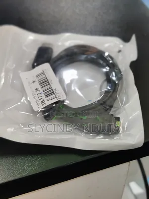 Garmin Type C Cable