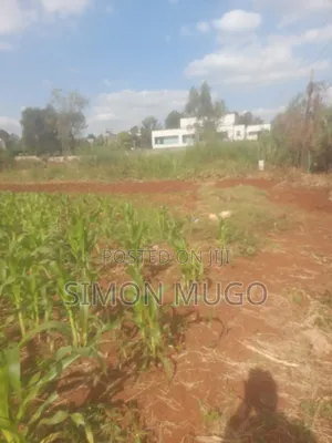 Golden Palm Estate Kiambu Rd Prime 1/4 Ac Ready Title