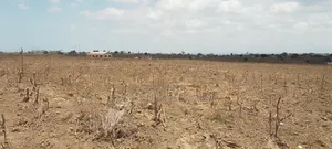 Plots for Sale in Mariakani