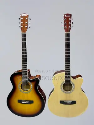 Ibanez 40" Acoustic Guitar: Professional.