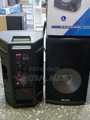 Ailipu Portable Powered Speaker (Pair)