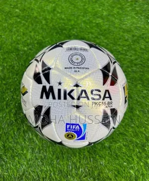 Mikasa Leather Ball