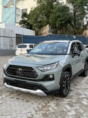 Toyota RAV4 Adventure 2019 Gray